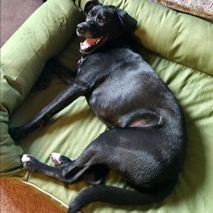 Meet your Posher, Alison